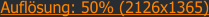 Auflsung: 50% (2126x1365)